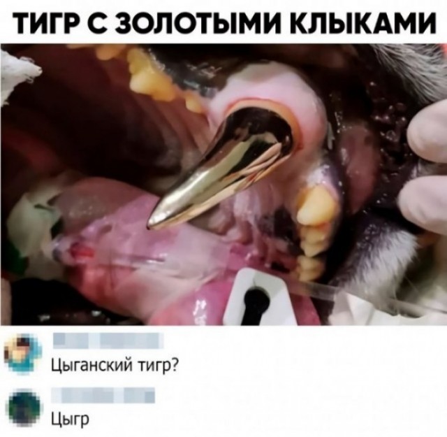 Скриншоты и комментарии из социальных сетей 02.12.22