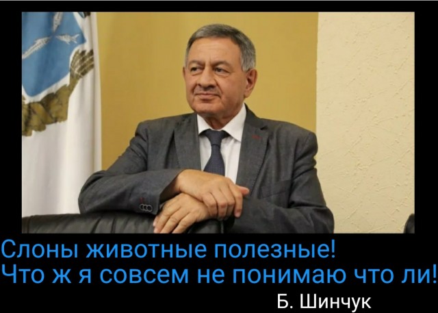 Председатель общественной палаты Саратовской области Борис Шинчук предложил сбрасывать бродячих собак на позиции украинских националистов