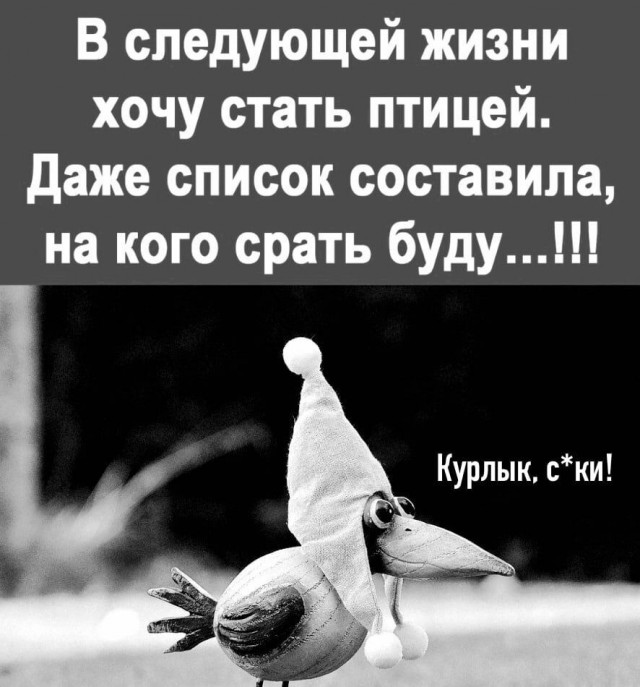 Юмор в картинках и без 20.01.2023