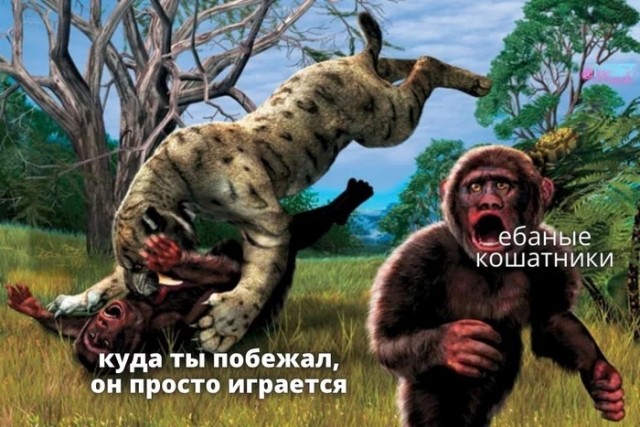 Так себе картинки 01.02.23