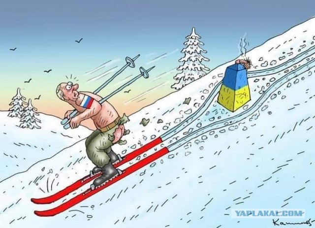 Путин приехал посмотреть, как обрабатывают шишки в Архангельской области