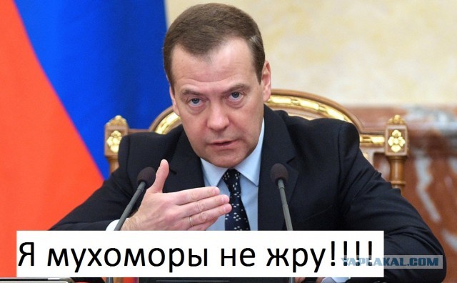 Победная поступь идиотизма по планете – том 9