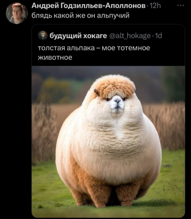 Немного картинок для настроения 07.03.2023