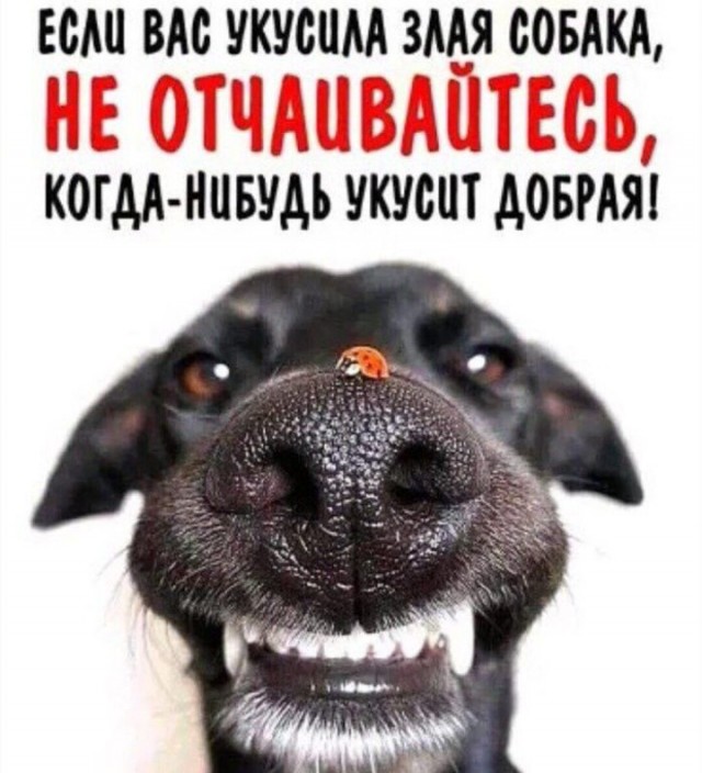 Картинки и мемы для настроения - 167