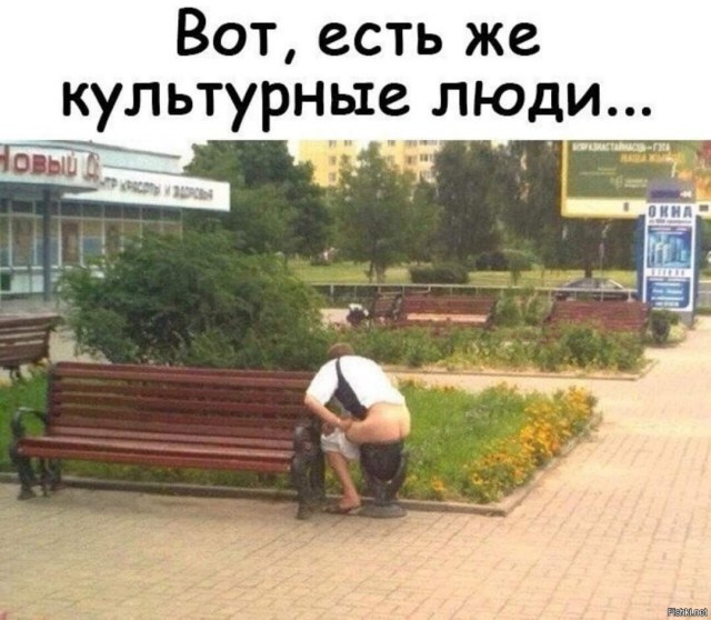 Победная поступь идиотизма по планете – том 15