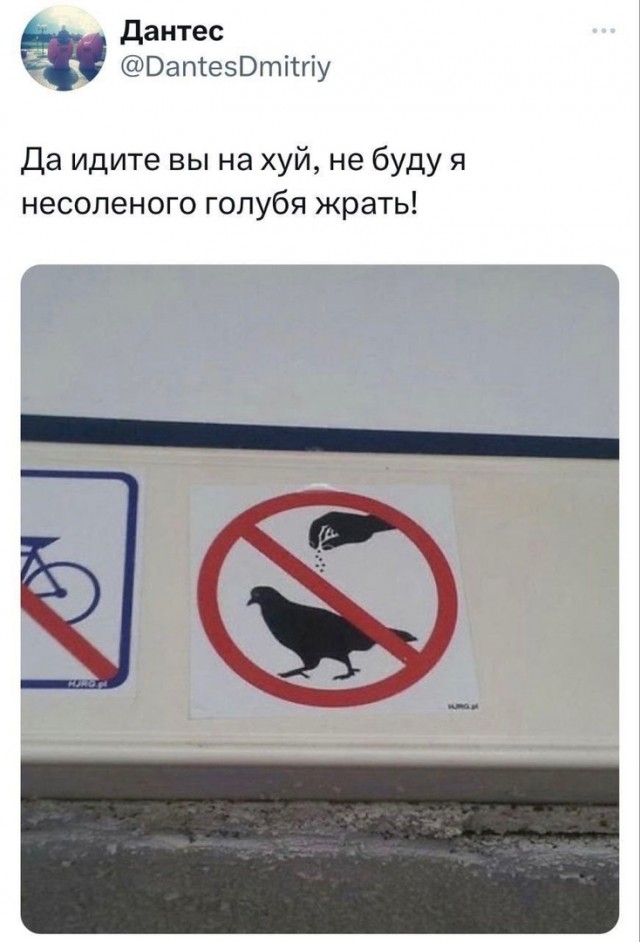 Так себе картинки 20.10.23