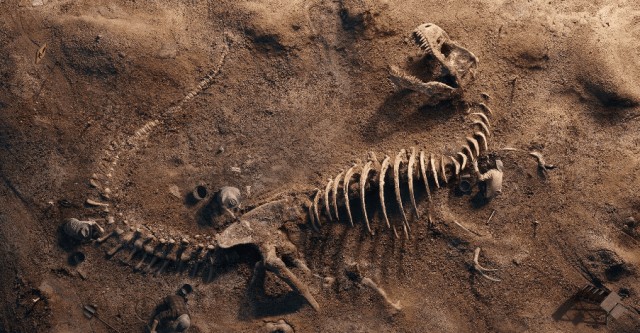 Что происходит с телом человеком через сто лет в гробу?