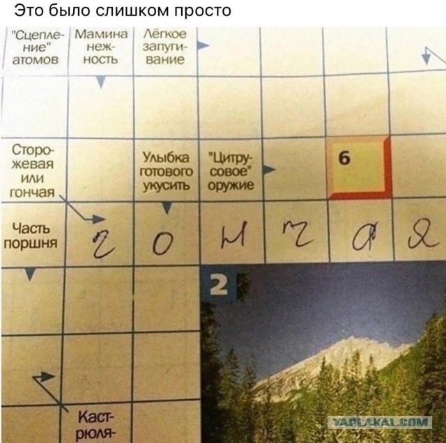 Как украсть из бюджета.