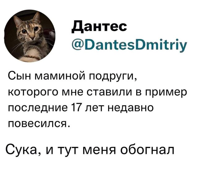Весёлый полтишок 22.04.24