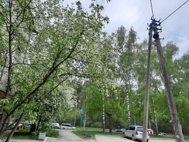 Деревенская Америка - 10