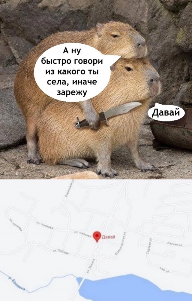 Юмор в картинках и без