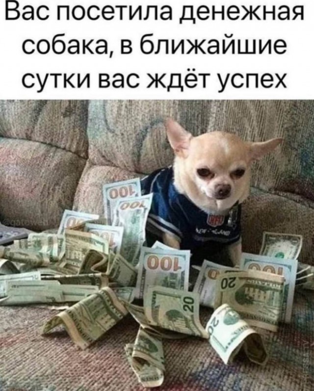 Так себе картинки 07.07.24