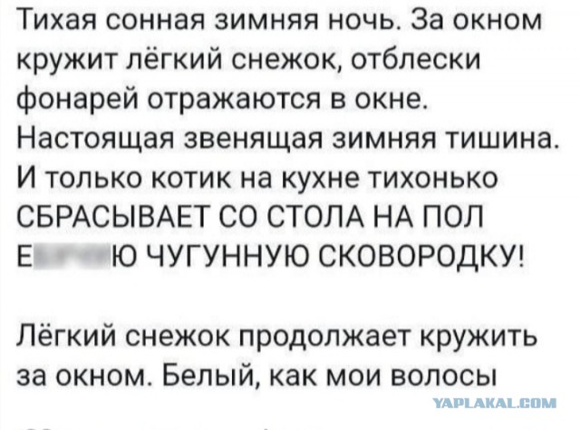 Весёлый полтишок 22.07 24