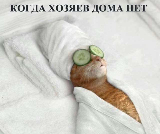 Так себе картинки 24.07.24