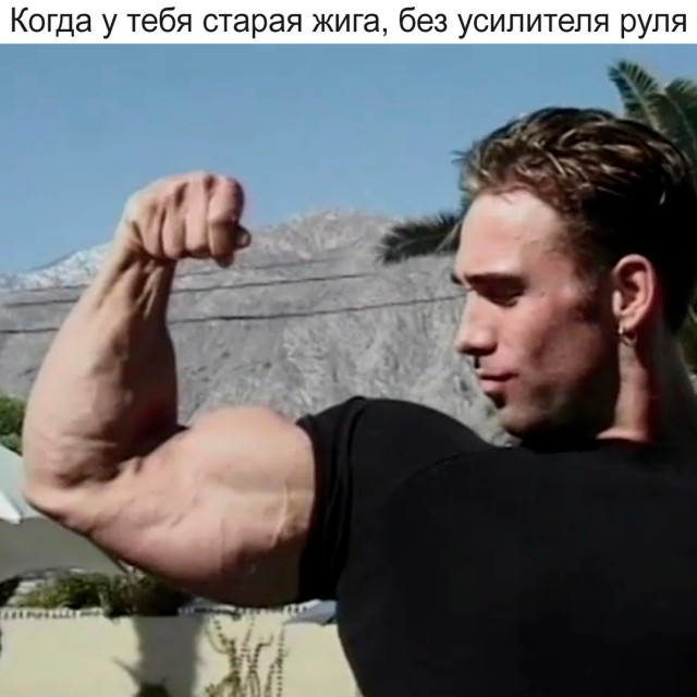 Весёлый полтишок 26.07.24