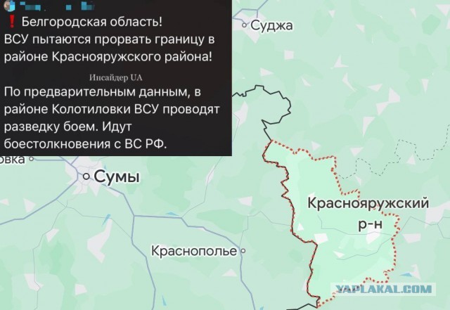 Численность группировок ВСУ, наступающих на Курскую область в зоне вторжения и вокруг нее может составлять  до 10 000 украинских солдат
