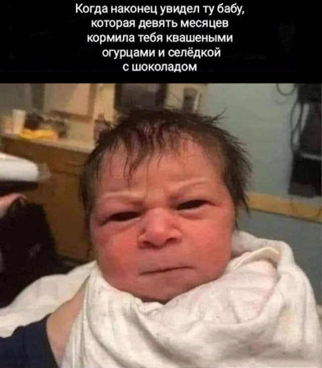 Весёлый полтишок 12.09.24