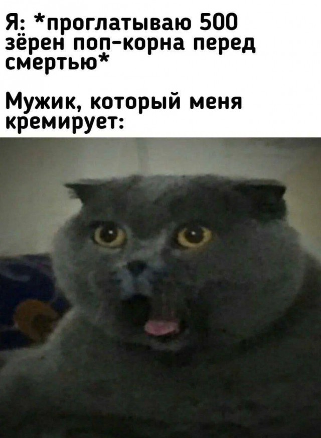 Завалялось тут случайно немного забавных картинок
