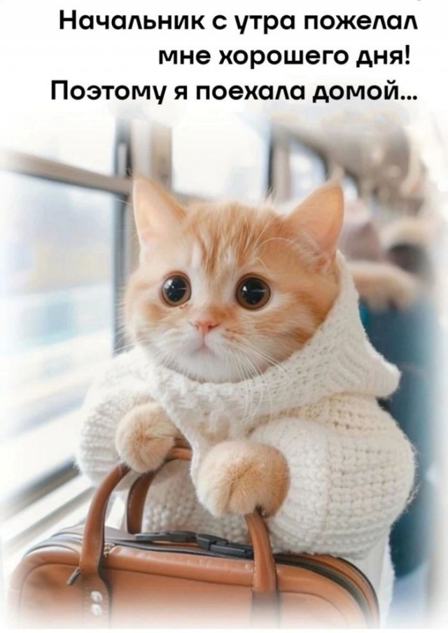 Картинки разные с надписями и без