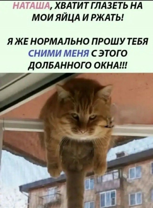 Так себе картинки 09.02.25