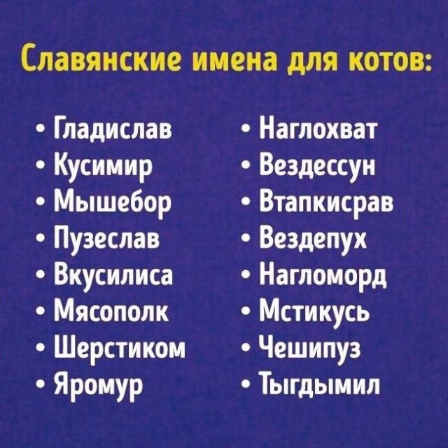 ЯПовский ЛикБез
