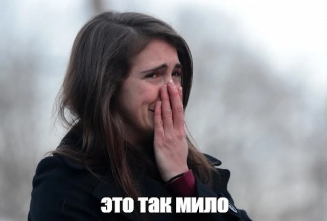 Как устроен ЯПлакалъ. Архетипы, роли, ритуалы — взгляд со стороны