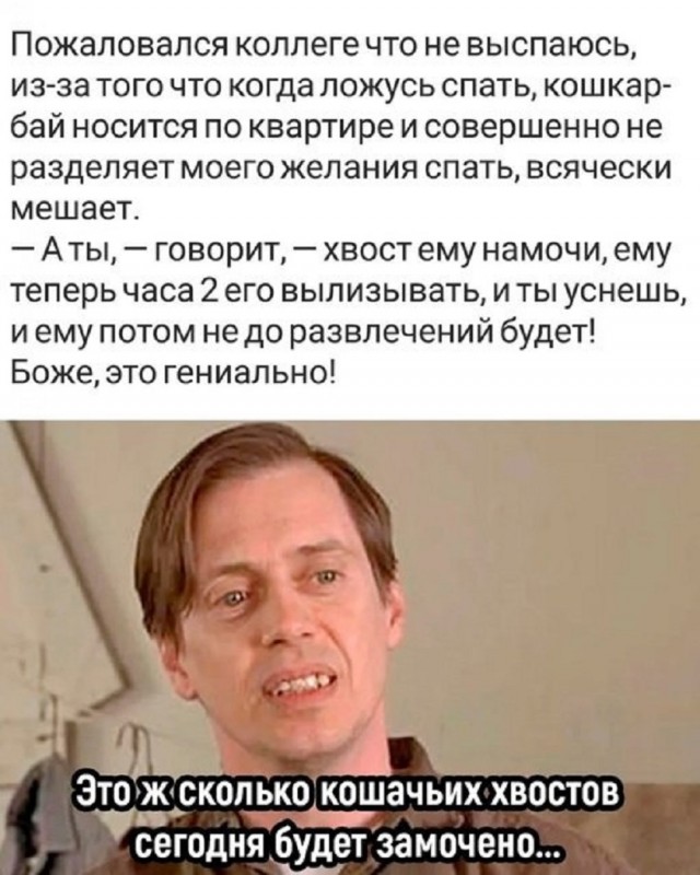 Так себе картинки 21.05.25