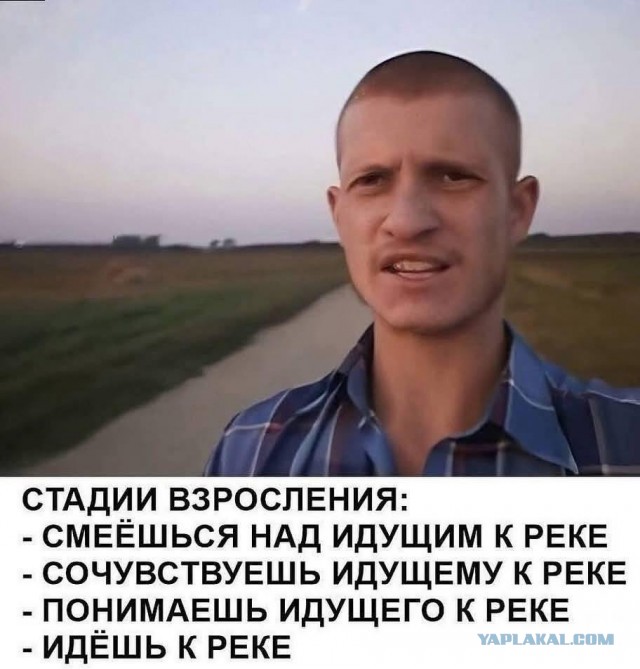 Одна картинка, которая смешна и грустна одновременно.