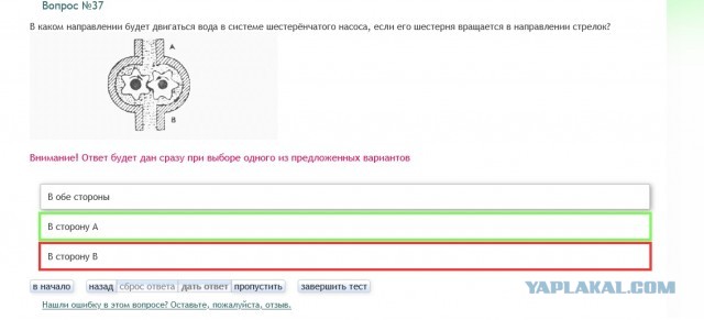 когда тиктокеры решили стать бизнесменами