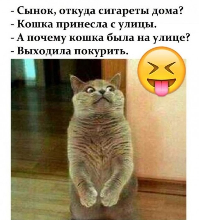 Четверговые картинки.
