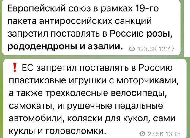 Политики в Брюсселе оставили маленьких россиян без игрушек с моторчиками