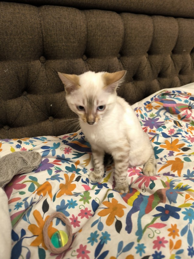 Вот и стал рабом