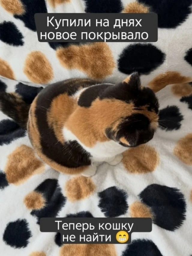Пятницы картинки