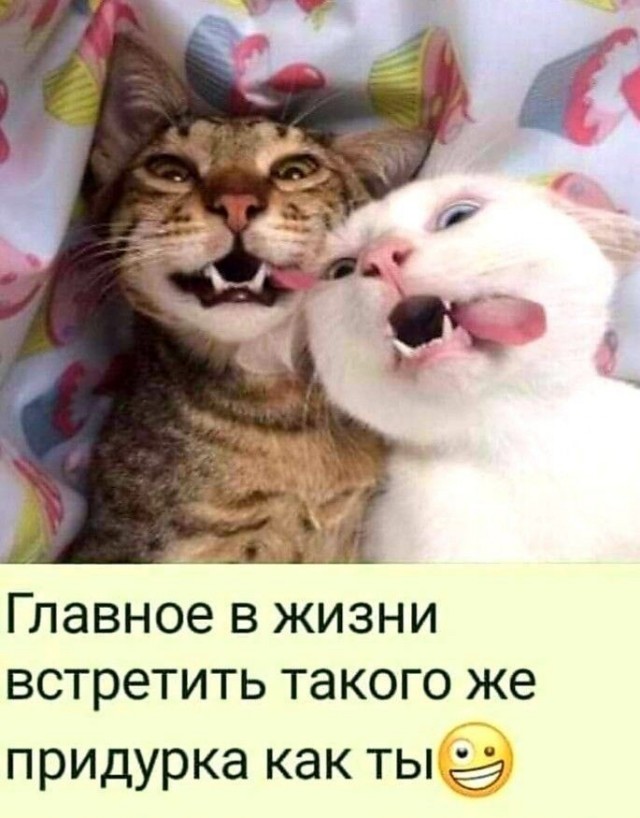 Где же ты, моя еб@нашка...