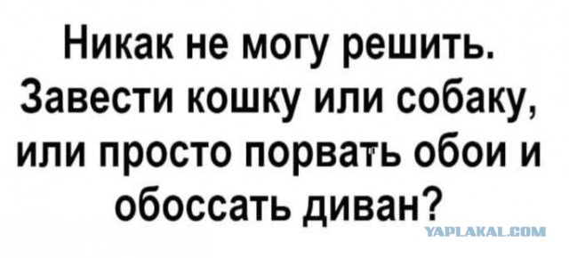 Пройдусь по абрикосовой, сверну не деградантную