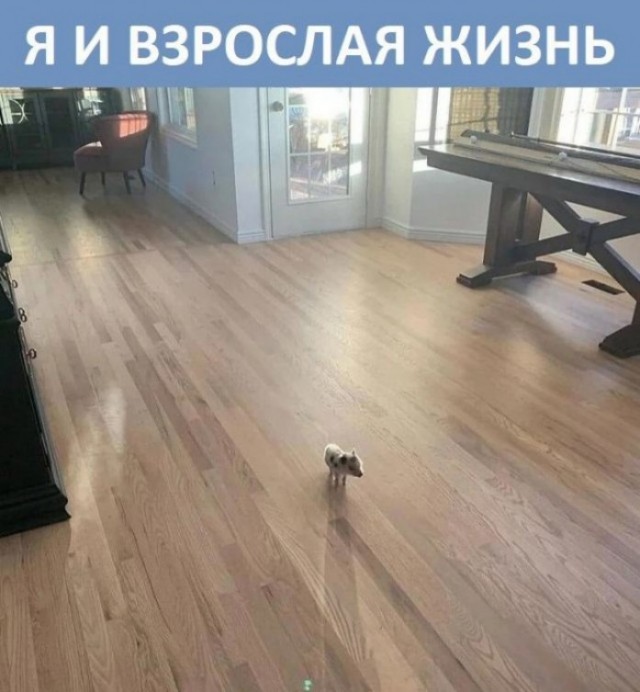 Детская взрослость⁠