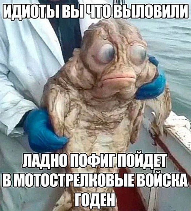 Расжижение мозга на ароматной поляне ополаскивателей для рта