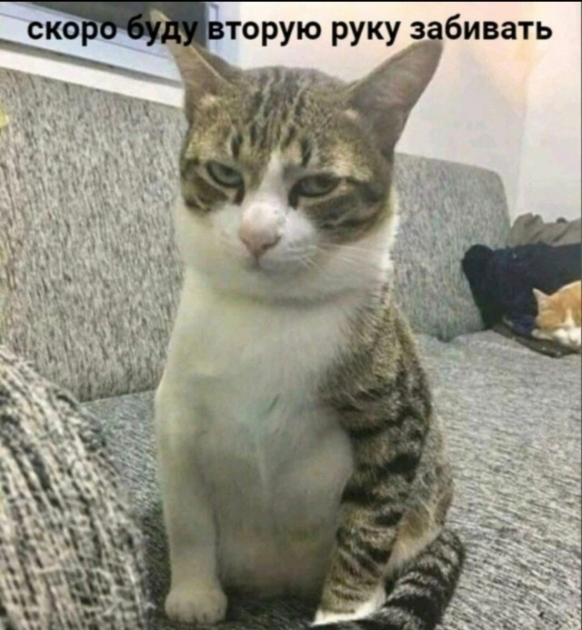 Мелочь усатая