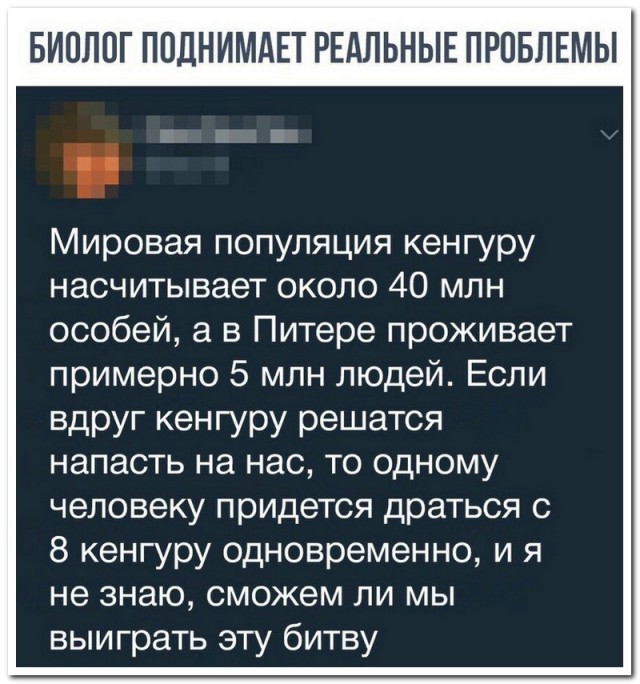 В Австралии кенгуру сначала напал на собаку,а потом жутко избил ее хозяина.