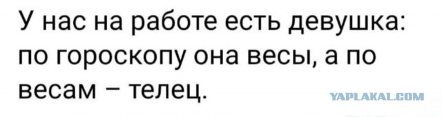 Так себе картинки 22.02.26