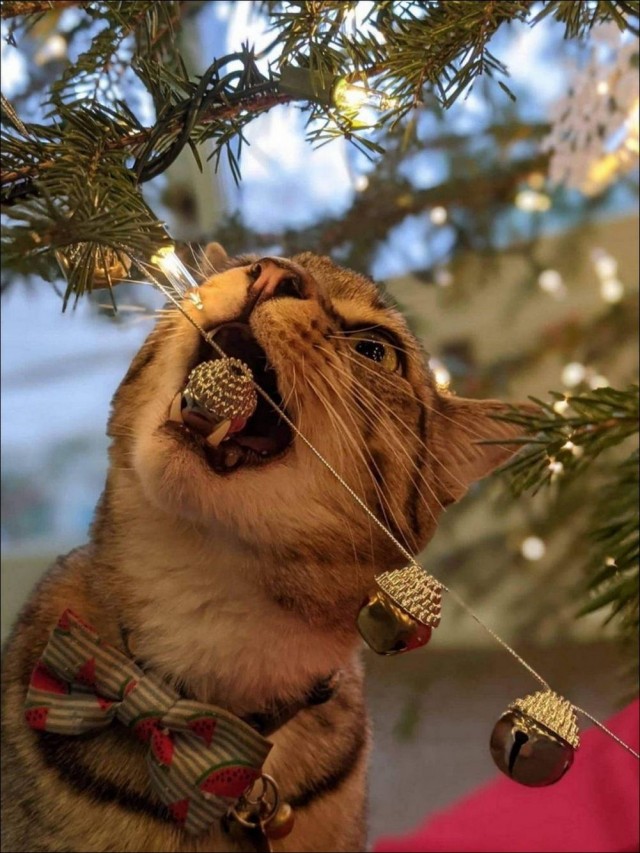 Картинок пост на 04.03.26