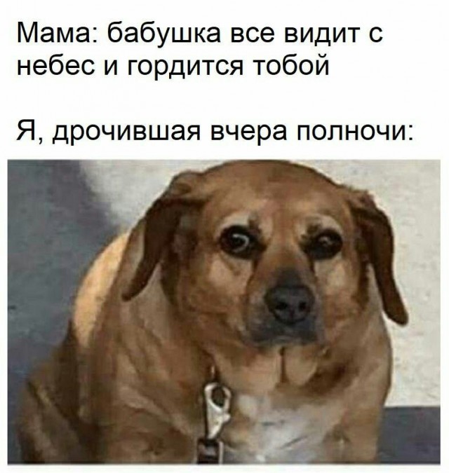 Немного картинок на ночь