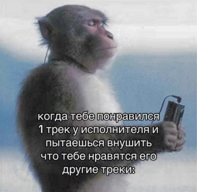 Среды картинки