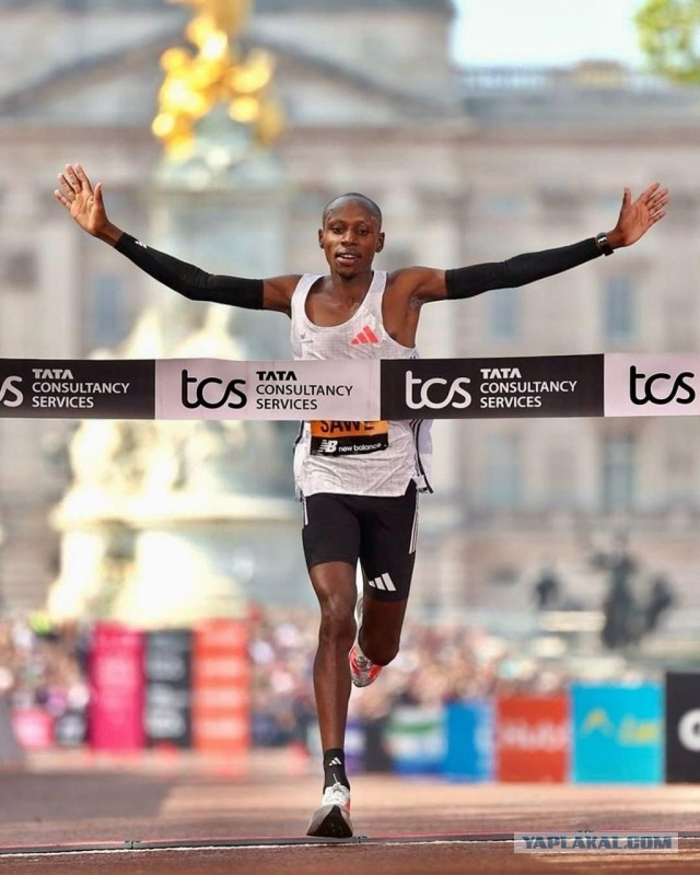 Марафон быстрее 2-х часов