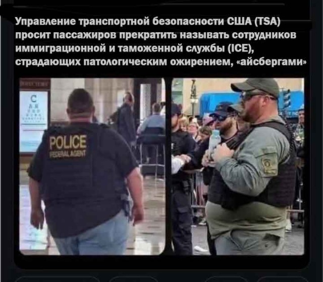 Парень оскорбил охранника, назвав его толстым очкариком, а тот вызвал Росгвардию