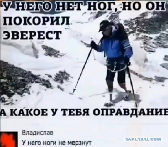 Веселые картинки в маленькую пятницу (05.08)