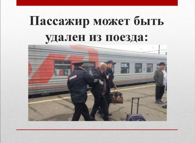 Жизнь прекрасна