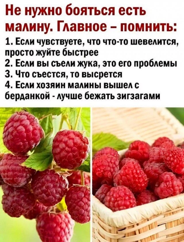 Картинки для деградации 251 (разной степени свежести)