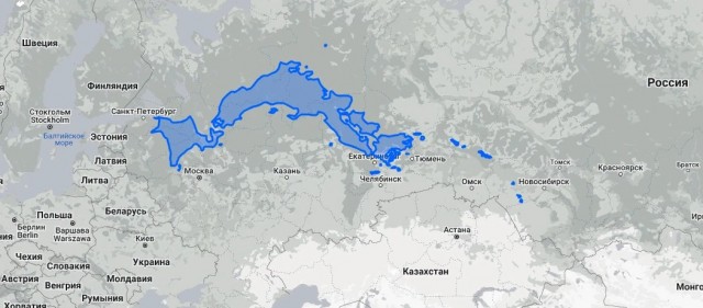 Специалисты отстрелили 190 бурых медведей в Хакасии