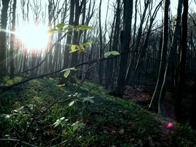 Опять, ОПЯТА.